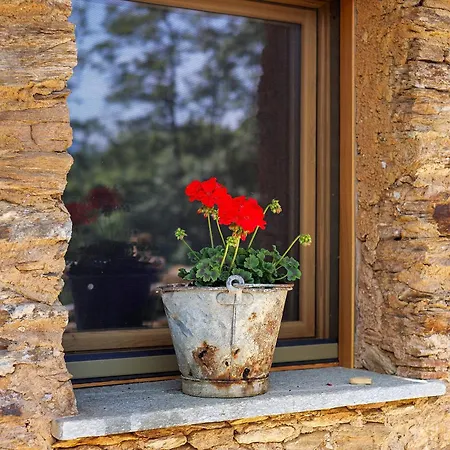 Apartment Ca Lou Meiou - Casa Nel Bosco Cartignano