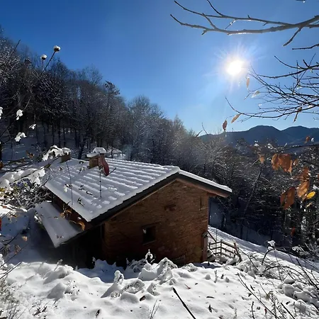 Ca Lou Meiou - Casa Nel Bosco Apartment Cartignano